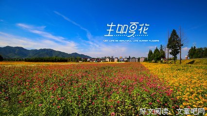 《生如夏花》的句子