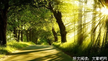 诗句名言