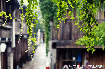 关于情不知所起，一想作在过情深。的句子
