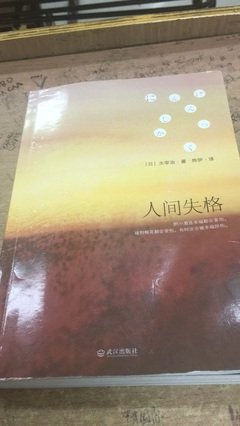 《人间失格》读后感100字