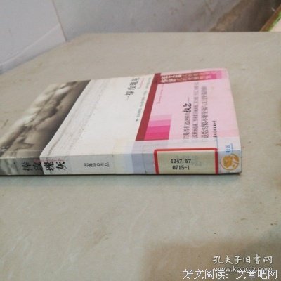 《一捧玫瑰灰》读后感1000字