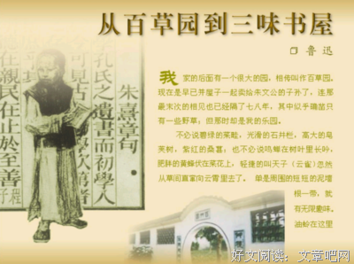 《野果》读后感精选