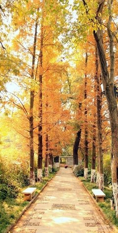 千山万水人海中读后感1000字