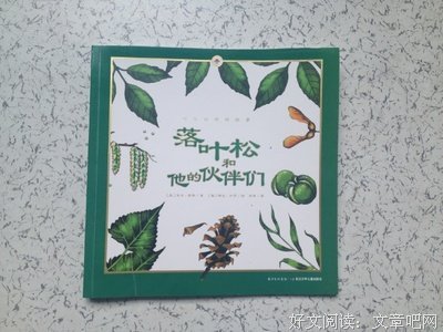 讲故事的人读后感1000字