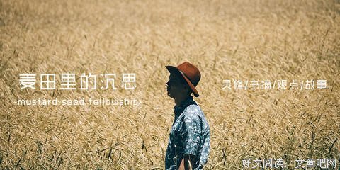 加尔文传读后感精选