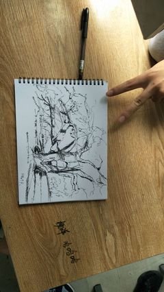 十年轮回经典读后感有感