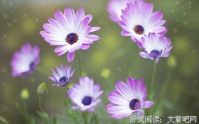 关于擦肩而过名言名句