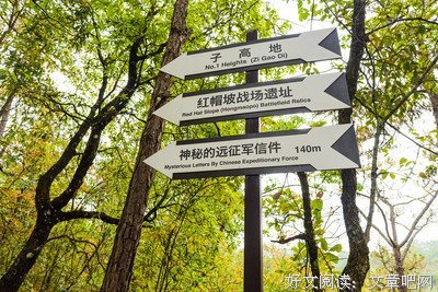 关于怪异的语句