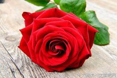 关于通去说心扉年而利人颠的也个的优美句子