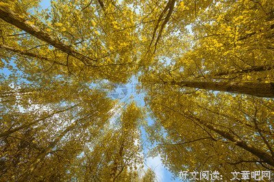 有关暖阳的句子