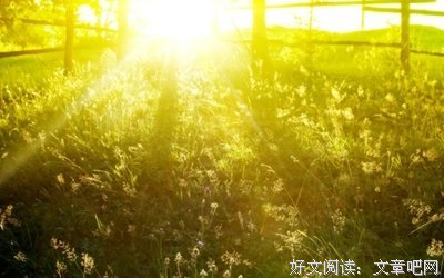 是你作将便我出泥泞句子