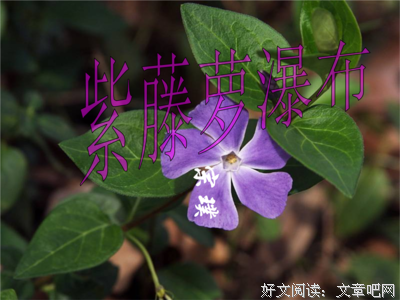 关于霖哥的句子