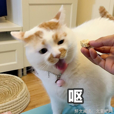 呕呕呕