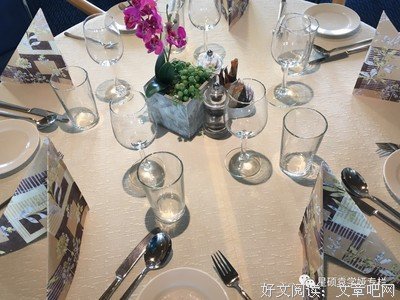 《邮轮旅游全攻略》读后感精选