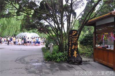 《铁原纪行》经典观后感1000字