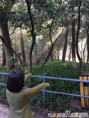 32岁妈妈乳腺癌晚期，孩子崩溃大哭，别离开我，这些致命习惯，一