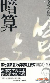 暗算读后感100字