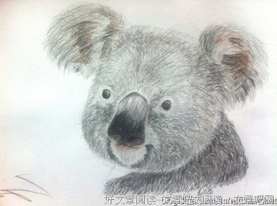 老猫学出版读后感100字