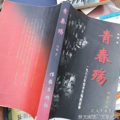 《青春未曾殇》的句子