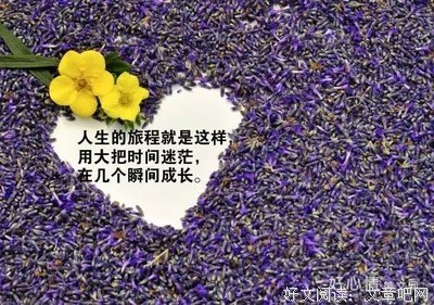 我的心情物下年是这想着的优美句子