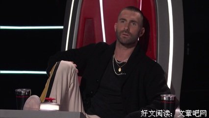 《美国之声 第七季》影评100字