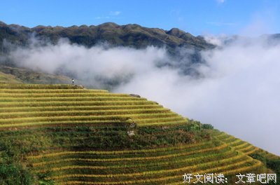 《黄金血道》的观后感大全