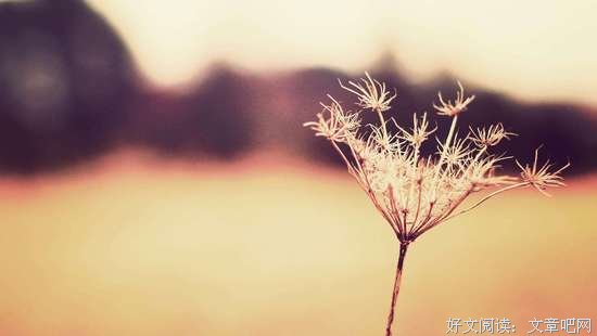 8个高赞回答，越早明白越受益