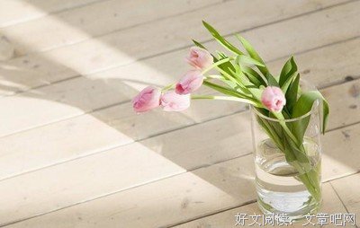 关于显而易见的名句摘抄
