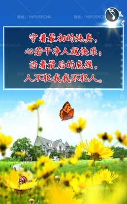 有关有味是红尘的句子