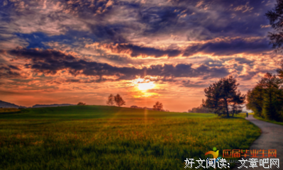 写作可用的优美句子