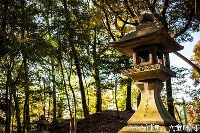 真实版的“一休哥”，分分钟毁你童年没商量