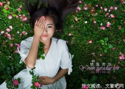 《梦落芳华》读后感锦集
