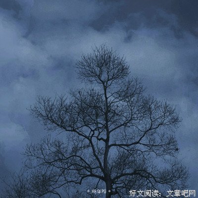 柢年读后感摘抄