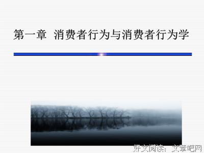 《消费者行为学 （第8版·中国版）》读后感精选