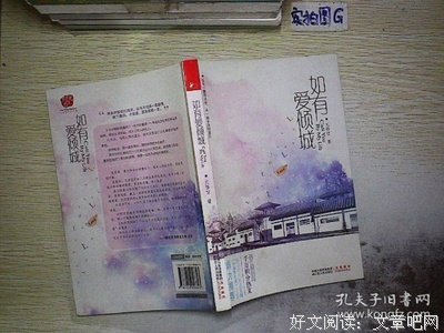 如有爱倾城读后感摘抄