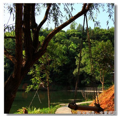 《那片湖水》经典影评集