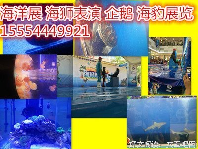《十四位演员的一分钟表演》经典观后感集