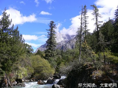 落木无边读后感摘抄