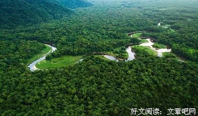 一路疼，一路爱经典读后感有感