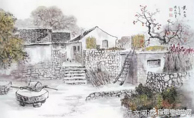 我，及其他读后感锦集
