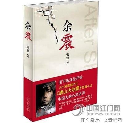 《余震》读后感锦集