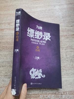 九州·缥缈录VI·豹魂读后感1000字