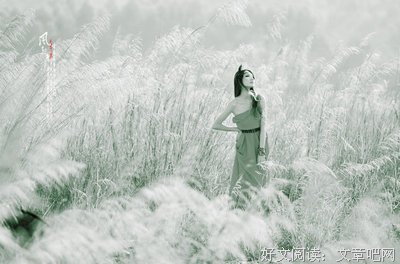有关风起青萍的句子
