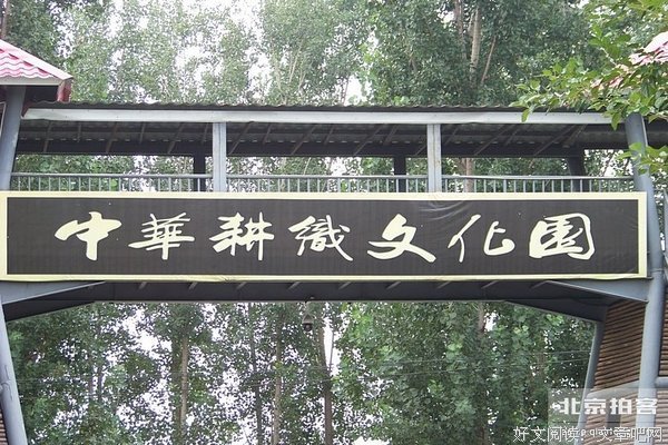 《今来古往》的观后感大全