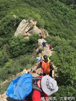 娱乐圈人精们的攀爬之道