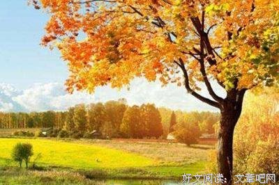 关于千头万绪的名言