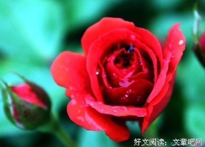 若无其事的名人名言