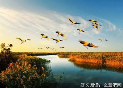 赏读 