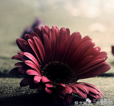 《影》的句子