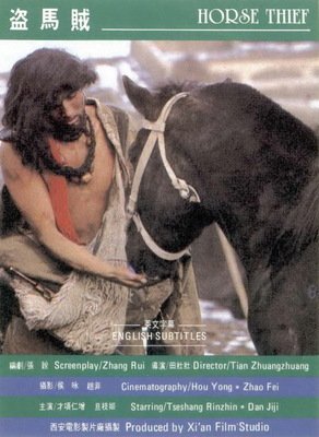 《马贼》读后感精选